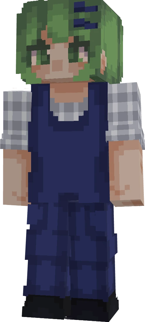 Opal 404's skin