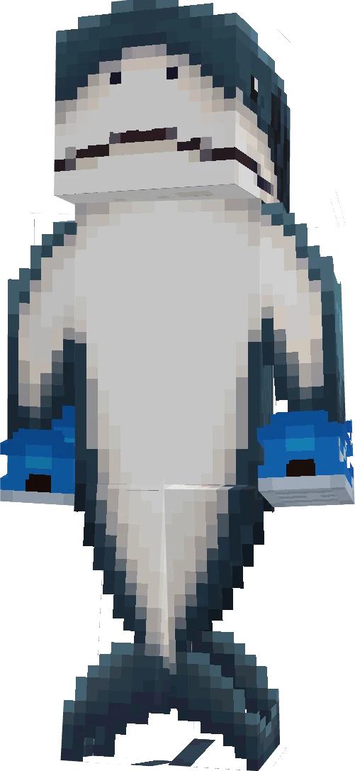 Hacker11576mine's skin