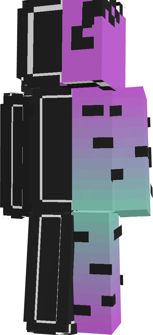 DD1V4D's skin