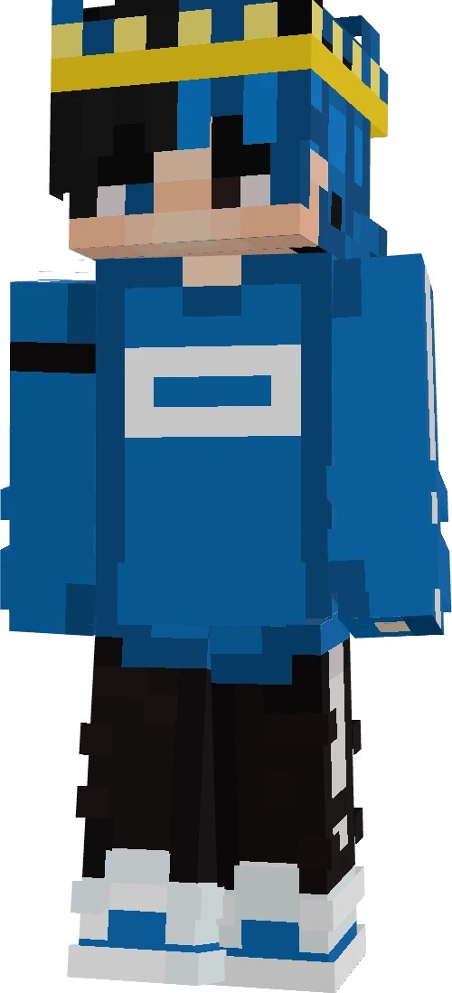 RashCoyote78626's skin