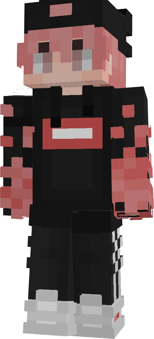 LeonFunGamer's skin